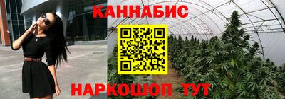 гашишное масло Кингисепп